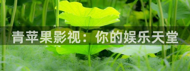 西瓜影院在线观看免费高清电视剧